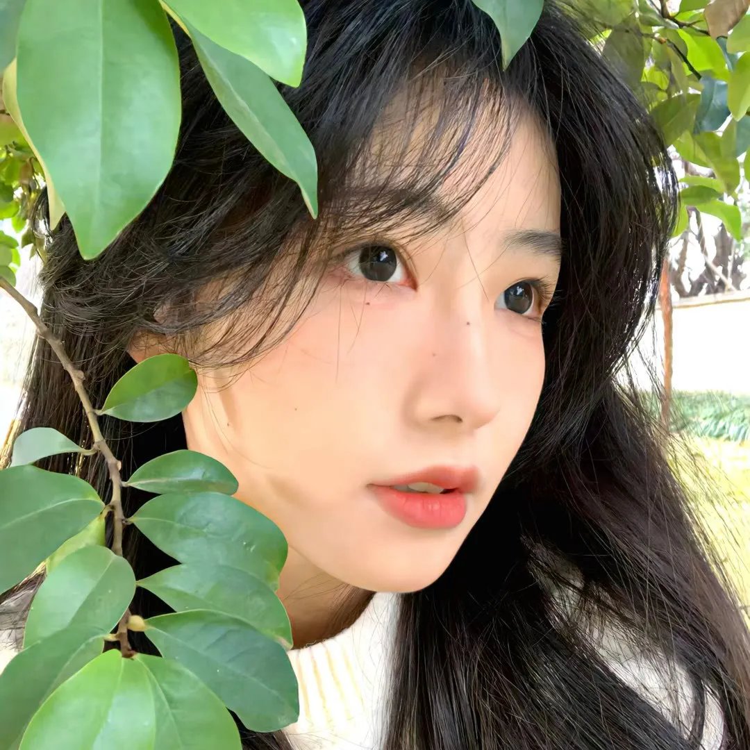 吉普车中的四人
